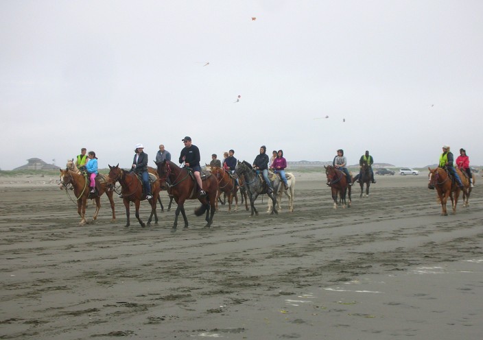 Horses and kites at Ocean Shores